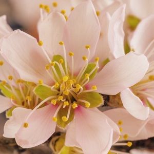 Meet your Posher, Lesley